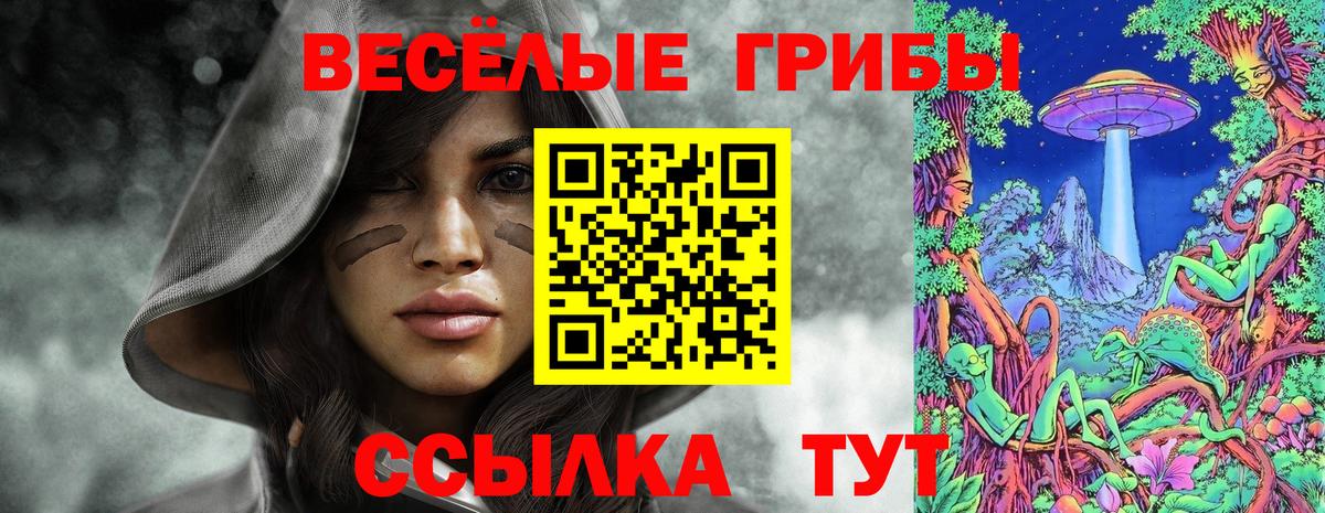 Псилоцибиновые грибы Cubensis  Галлюциногенные грибы Psilocybe  Новоалтайск  Вход с VPN 